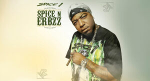 Spice 1 - Spice N Erbzz