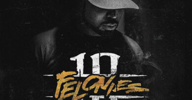 Young Buck - 10 Felonies