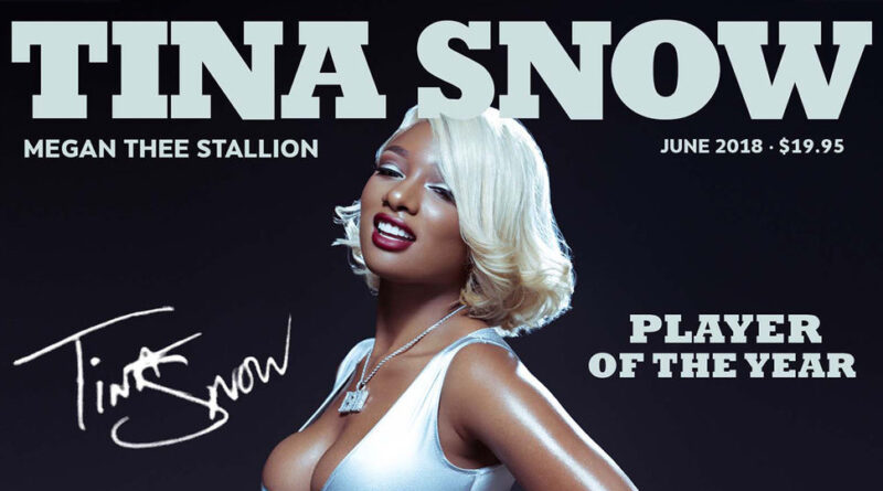 Megan Thee Stallion - Tina Snow