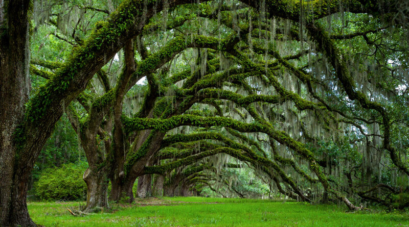 South Carolina