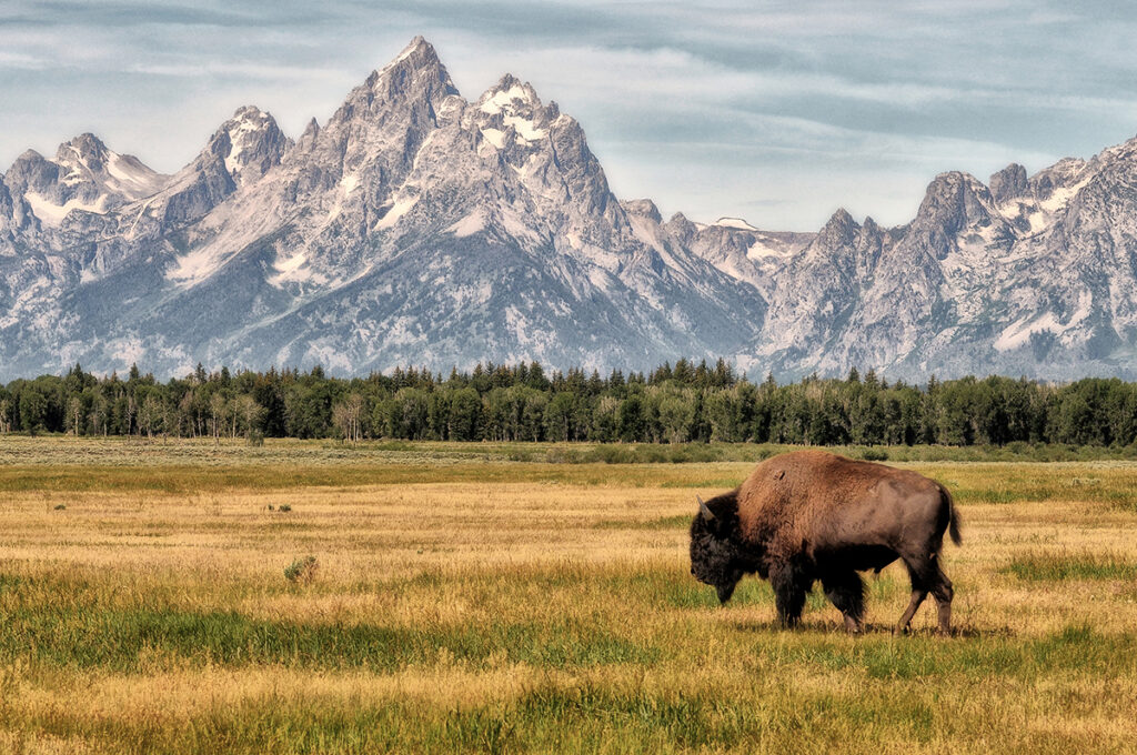 Wyoming