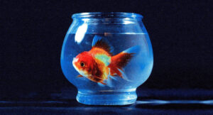 Vince Staples - Big Fish Theory