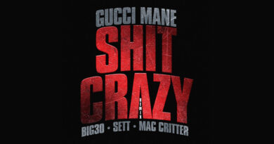 Gucci Mane - Shit Crazy [Remix]
