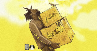 Buddieroe - Lost & Found