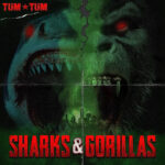 Tum Tum - Sharks & Gorillas