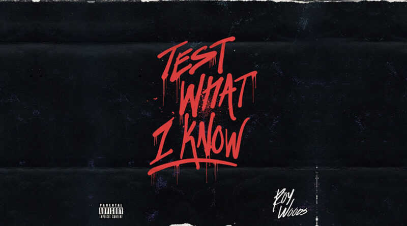 Roy Woods - Test What I Know