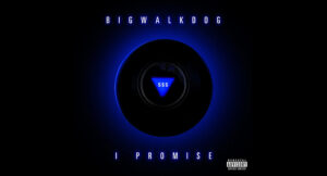 BigWalkDog - I Promise