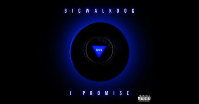 BigWalkDog - I Promise