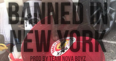 Troy Ave - Banned In New York