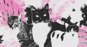 Tobi Lou & FARADA - Caturday