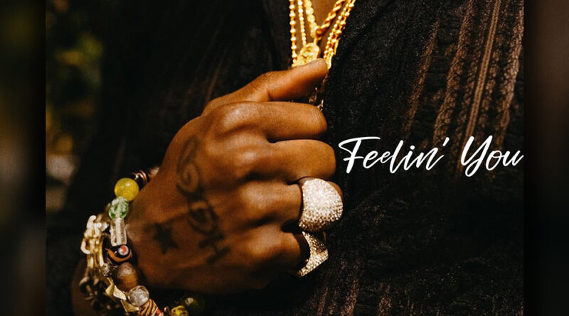 Ace Hood - Feelin' You