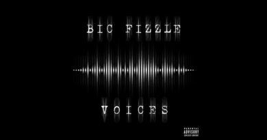 BiC Fizzle - Voices