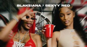 BlakeIANA - BING BONG (Remix)