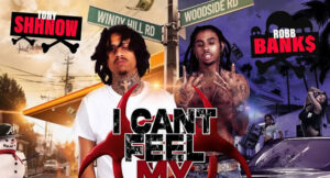 Robb Bank$ & Tony Shhnow - I Can't Feel My Face Too