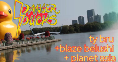 Ty Bru - Danger Ducks