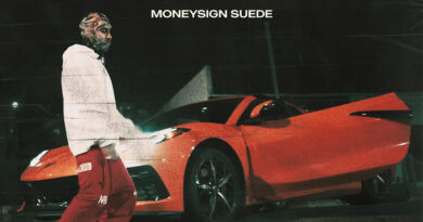 MoneySign Suede - Lotta Cash