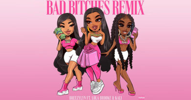 BreezyLYN - Bad Bitches [Remix]