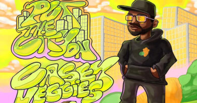 Casey Veggies - Put The City On