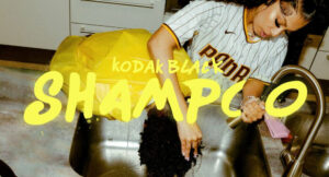 Kodak Black - Shampoo