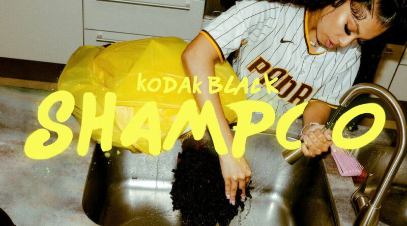Kodak Black - Shampoo