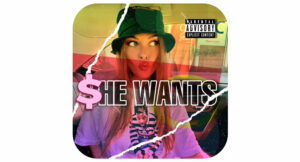 Troy Ave - She Wants