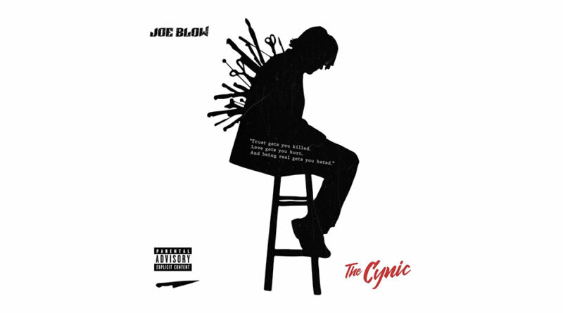 Joe Blow - the Cynic