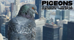 Nejma Nefertiti, Double A.B. & Dub Sonata - Pigeons