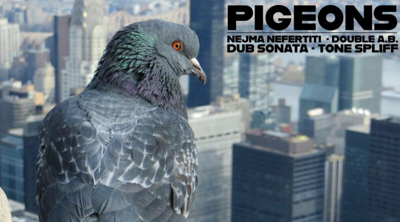 Nejma Nefertiti, Double A.B. & Dub Sonata - Pigeons