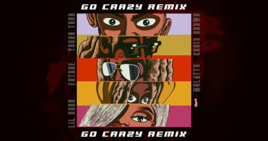 Chris Brown - Go Crazy (Remix)