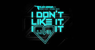 Flo Rida - I Don't Like It, I Love It