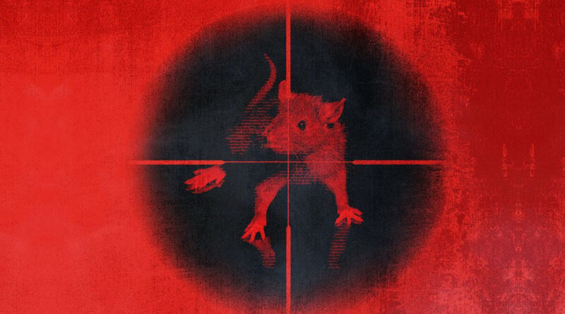 Kodak Black - Killing The Rats