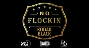 Kodak Black - No Flockin'