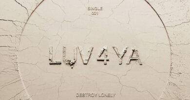 Destroy Lonely - LUV 4 YA