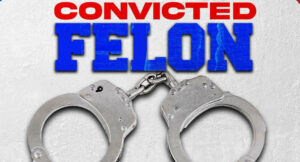 Plies - Convicted Felon