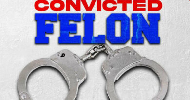 Plies - Convicted Felon