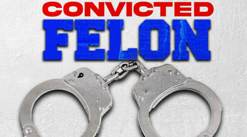 Plies - Convicted Felon