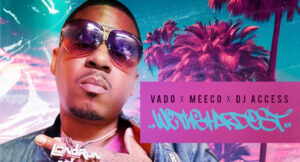 Vado, Meeco & DJ Access - We The Hardest