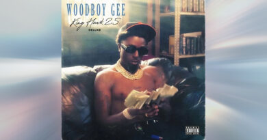Woodboy Gee - King Hawk 2.5 Deluxe