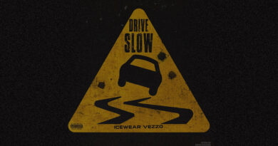Icewear Vezzo - Drive Slow
