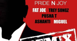 Fat Joe - Pride N Joy (Remix)