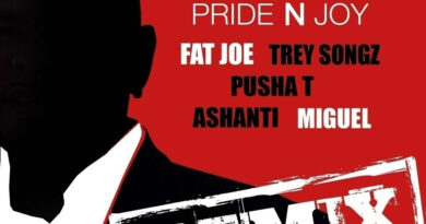 Fat Joe - Pride N Joy (Remix)