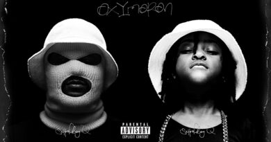 ScHoolboy Q - Oxymoron