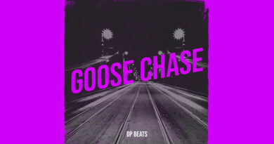 DP Beats - Goose Chase