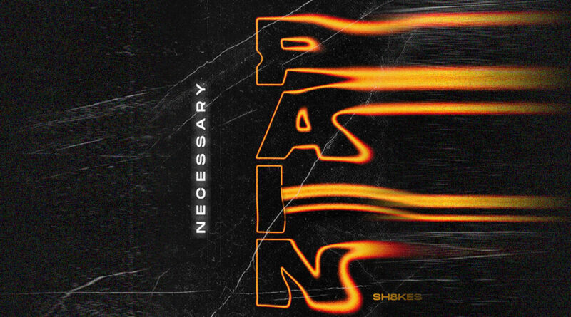 Sh8kes - Necessary Pain