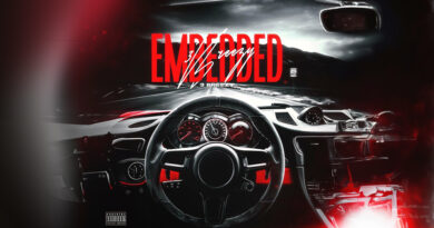 3Breezy - Embedded