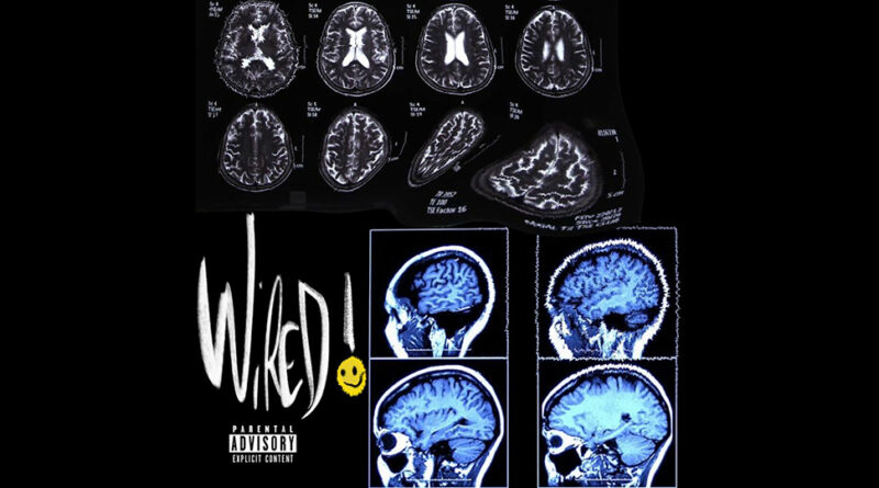 Kirk Knight - Wired