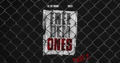 Lil Zay Osama - Free Dem Ones, Pt. 2