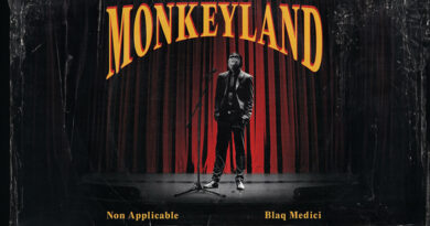 Non Applicable & Blaq Medici - Monkeyland