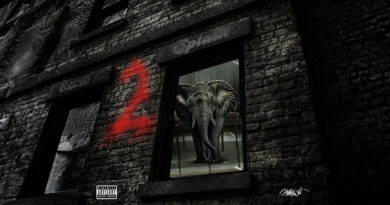 Splash - Elephant In The Room 2