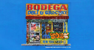 DJ Mykael V & 1995 - BODEGA 2!